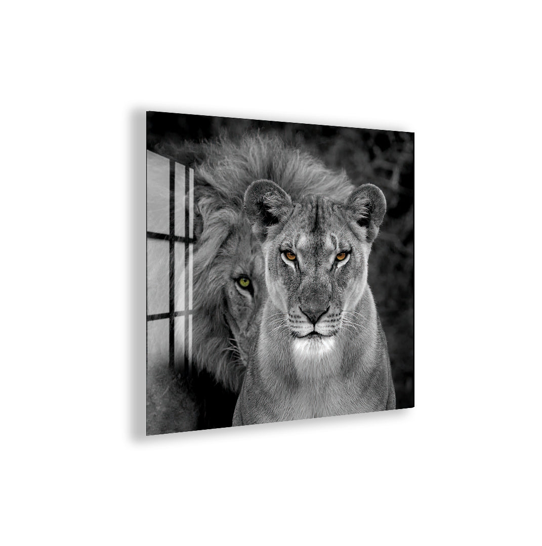 Animal-inspired luxury glass print featuring lion and lioness.
