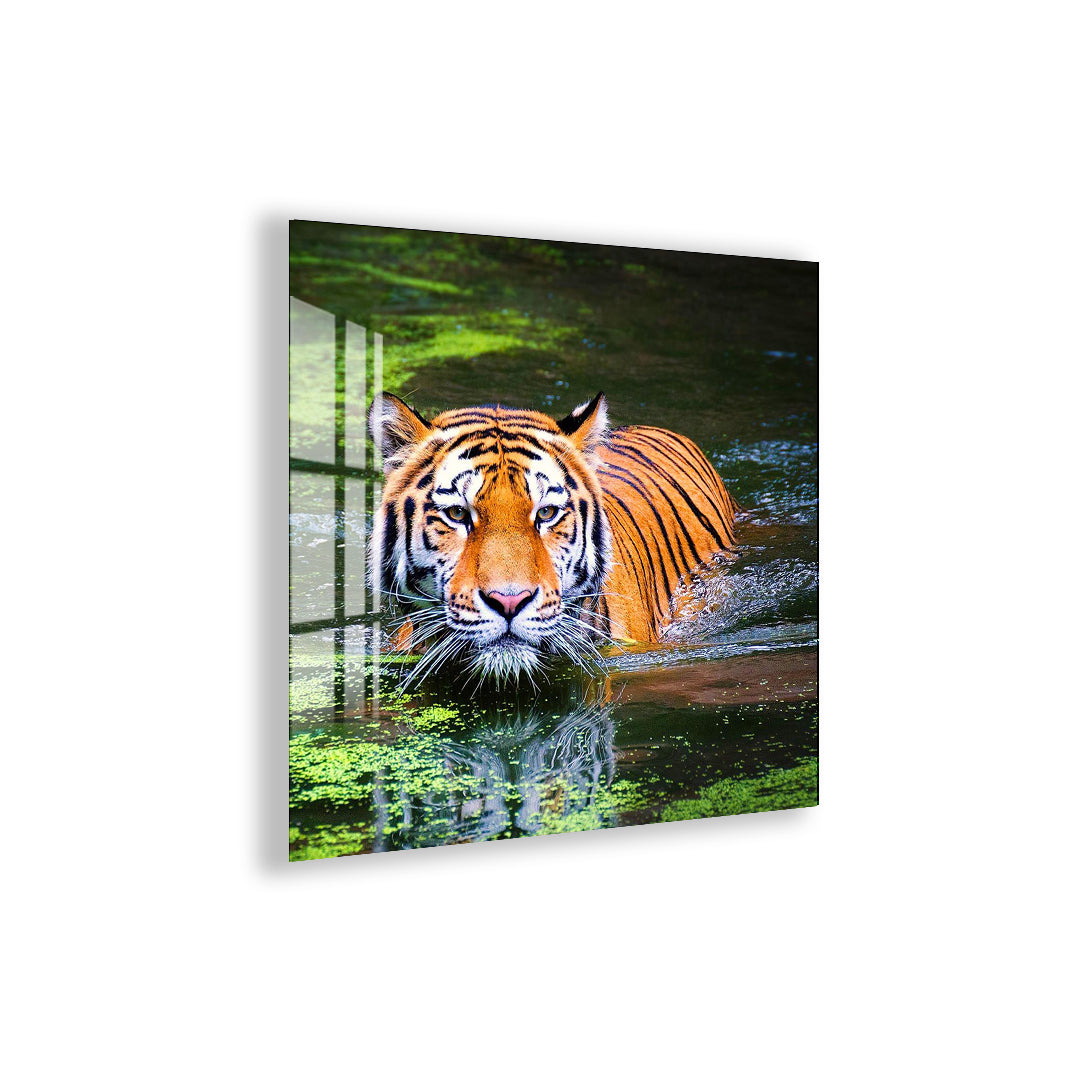 Bold wildlife-inspired decor perfect for living rooms, offices, and studios.
