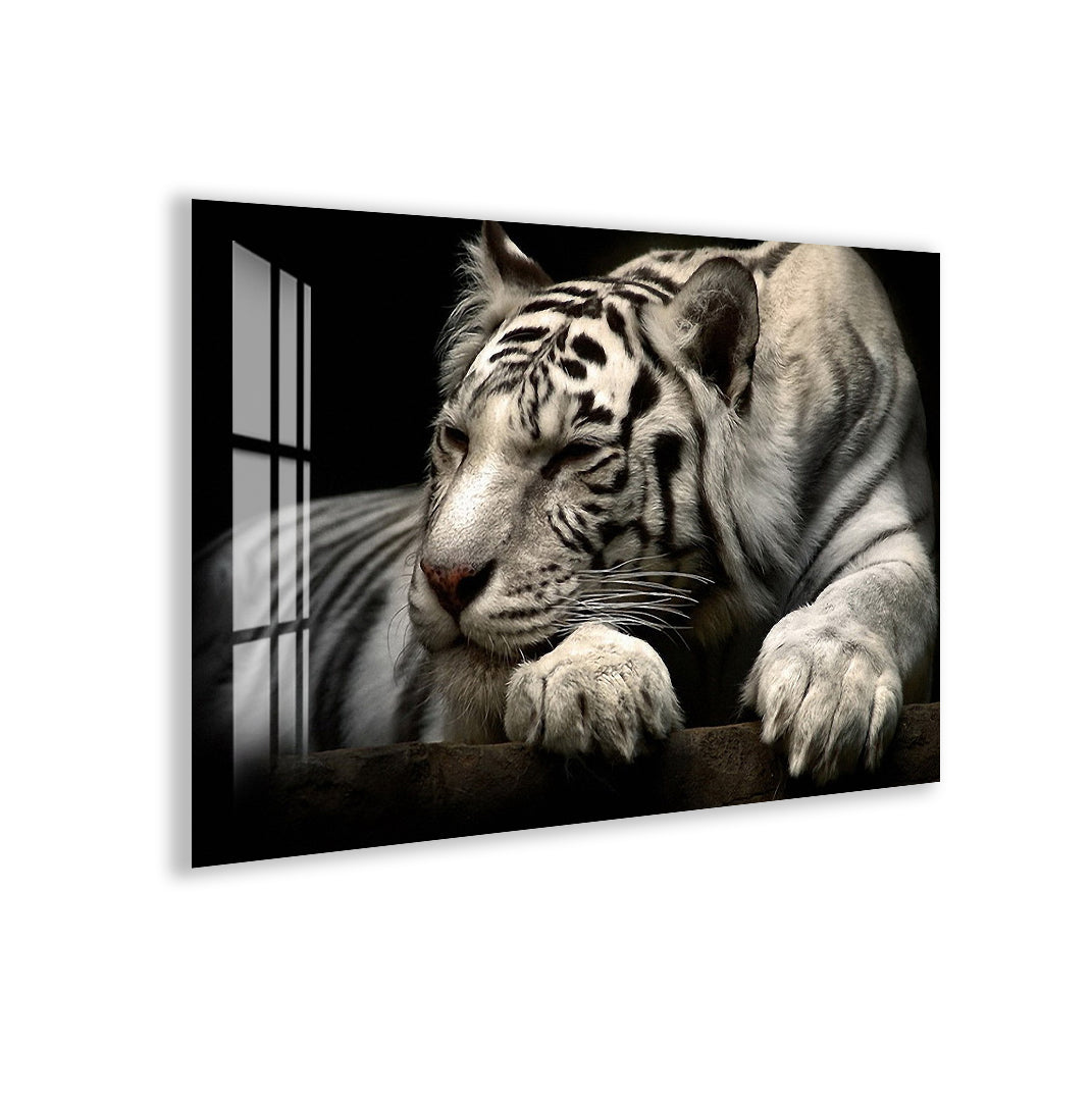 Elegant white tiger resting peacefully in detailed glass artwork.