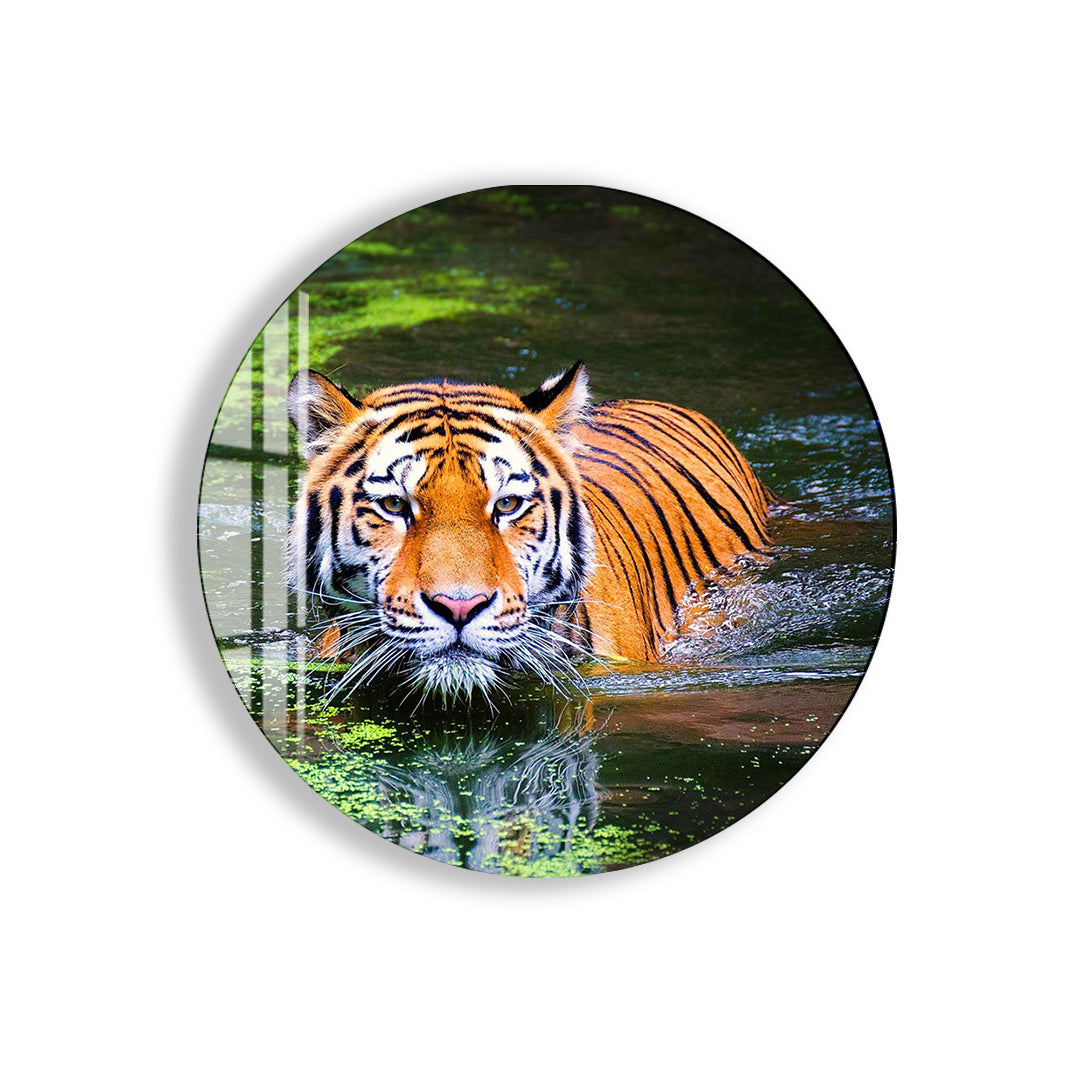 Exotic tiger design blending nature and strength for modern interiors.