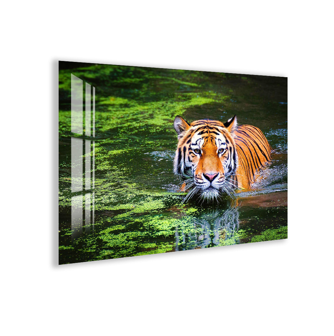 Majestic tiger swimming through green waters in vivid glass artwork.