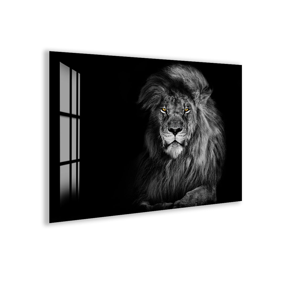 Striking black and white lion portrait with golden eyes on glass.