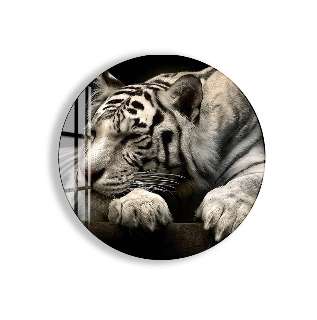 Stunning depiction of a serene predator in elegant black-and-white tones.