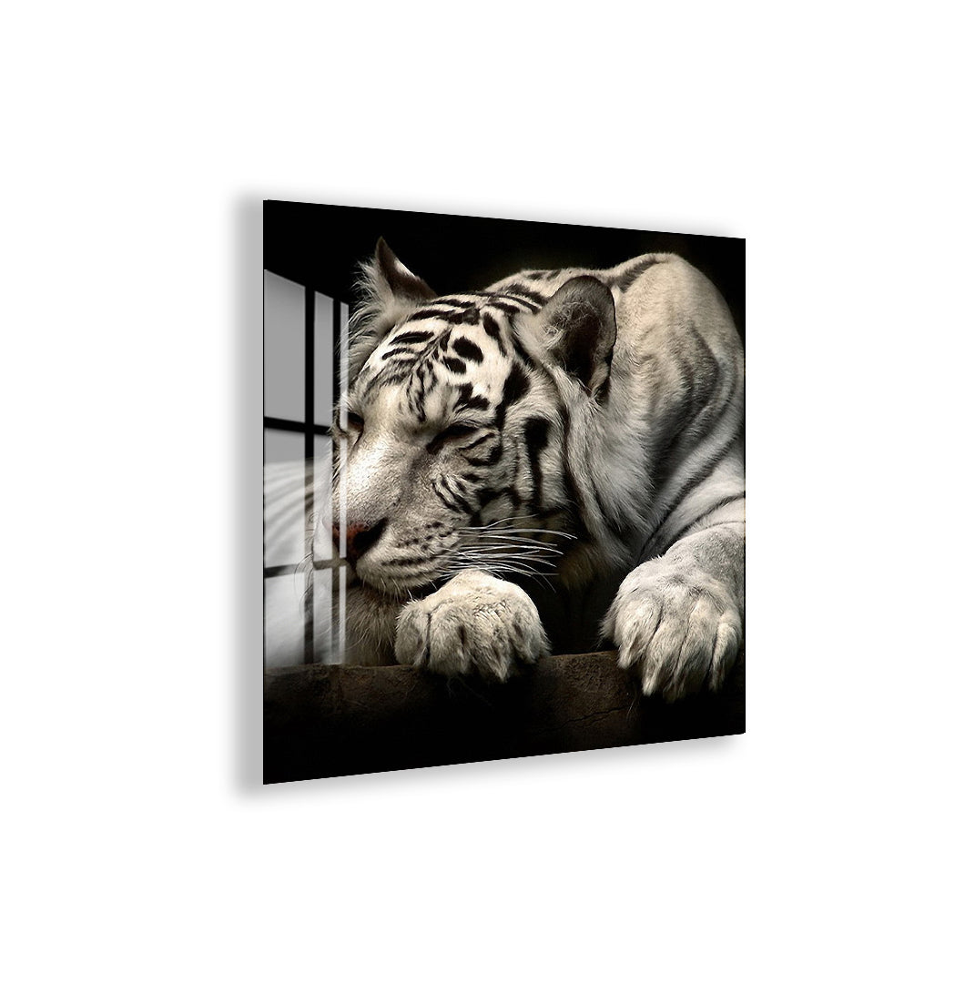 White Tiger Glass Wall Art – Elegant Wildlife Animal Print for Modern Interiors