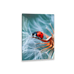 A ladybug is perched on a dandelion, its vibrant red and black body contrasting with the delicate white dandelion seeds.
