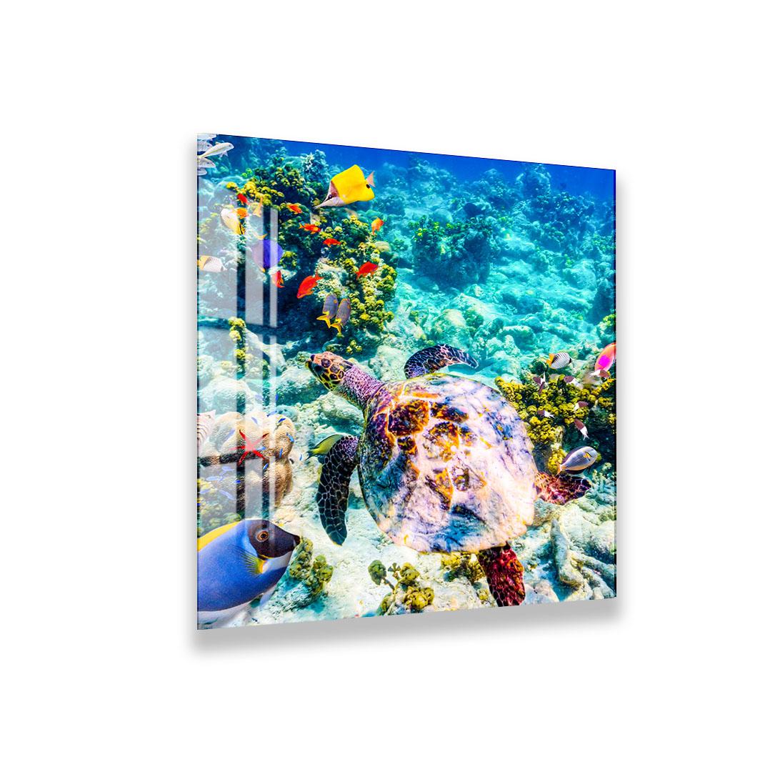 A vibrant underwater scene featuring a colorful sea turtle swimming amidst a variety of tropical fish and coral.