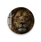 A close-up portrait of a majestic lion, its golden mane and intense gaze capturing the viewer's attention.