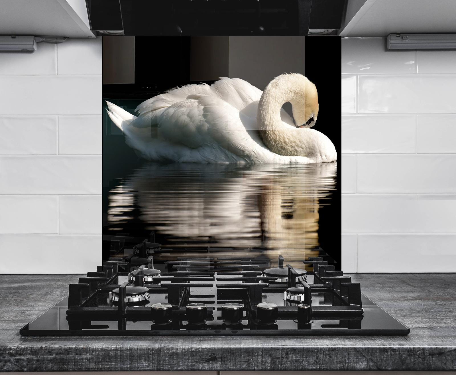 A large white swan swimming in a body of water, with a stovetop in the foreground.