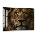 A close-up portrait of a majestic lion, its golden mane and intense gaze capturing the viewer's attention.