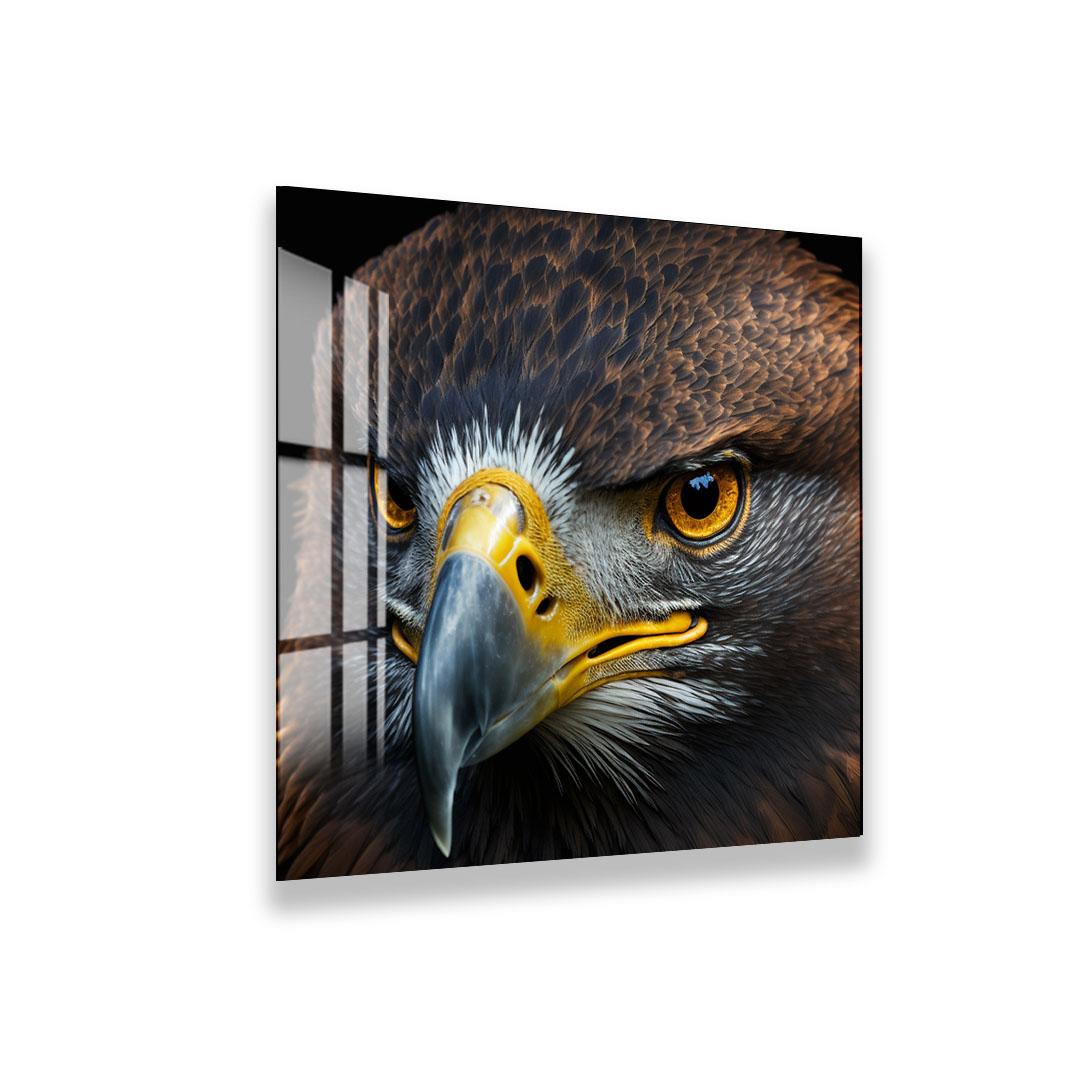 The image is a close-up of a bird of prey, specifically an eagle, with its piercing yellow eyes and sharp beak clearly visible.