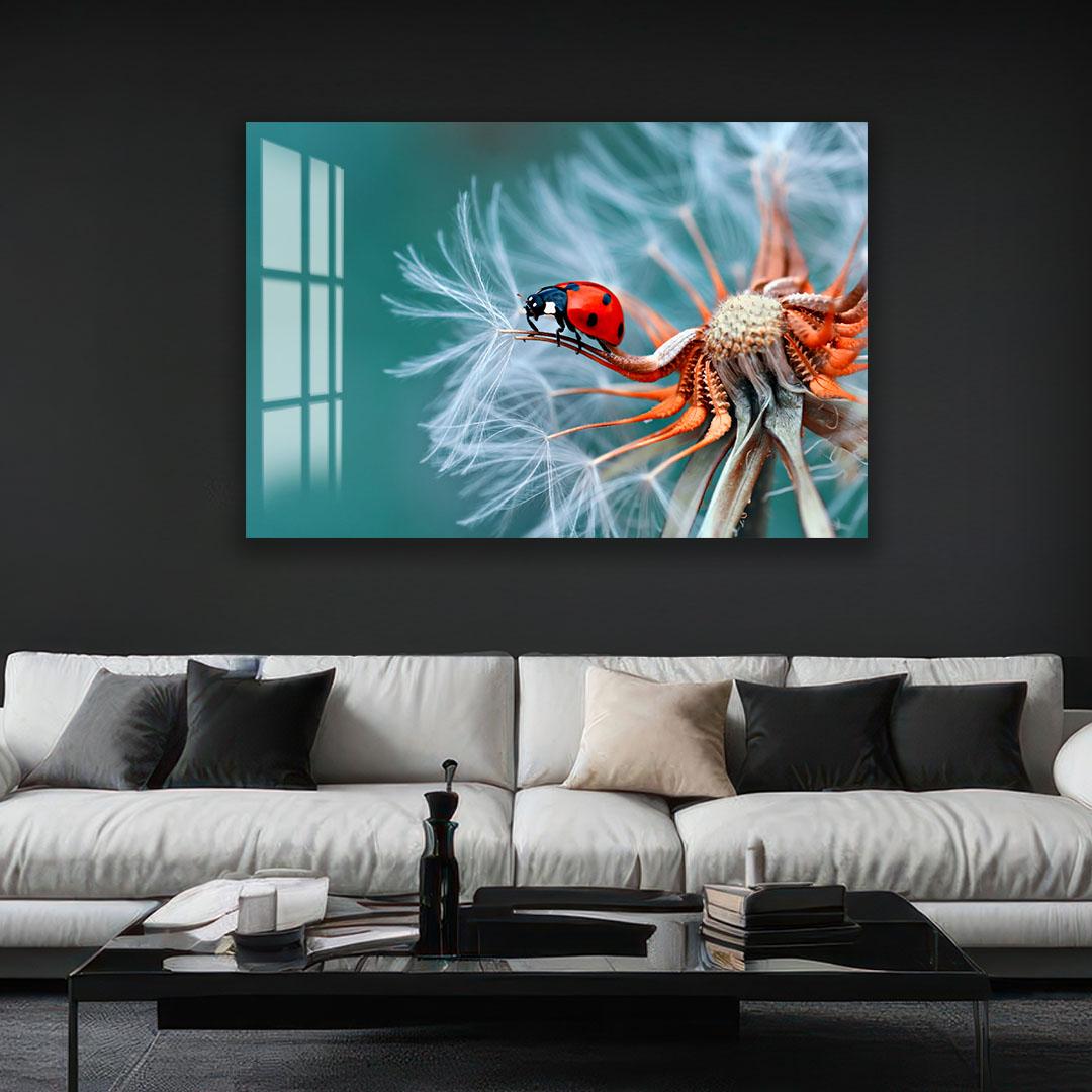 A framed photograph of a ladybug perched on a dandelion head is displayed on the wall above a black coffee table in a living room setting.