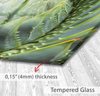 The image is a close-up of a green plant with sharp, pointed leaves, and it is described as a &quot;4mm&quot; thickness of a &quot;Tempered Glass&quot; surface.