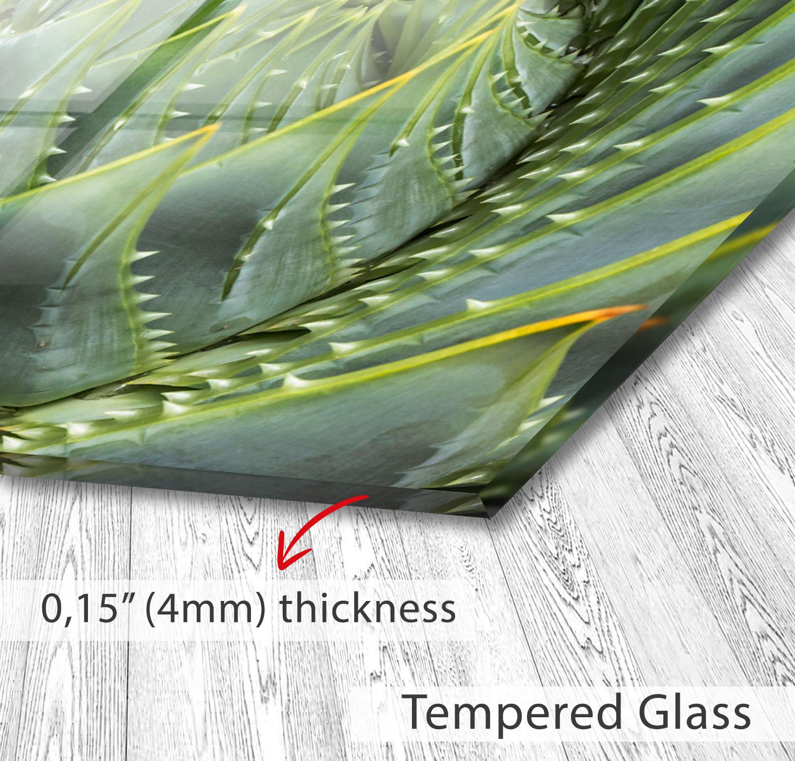 The image is a close-up of a green plant with sharp, pointed leaves, and it is described as a &quot;4mm&quot; thickness of a &quot;Tempered Glass&quot; surface.
