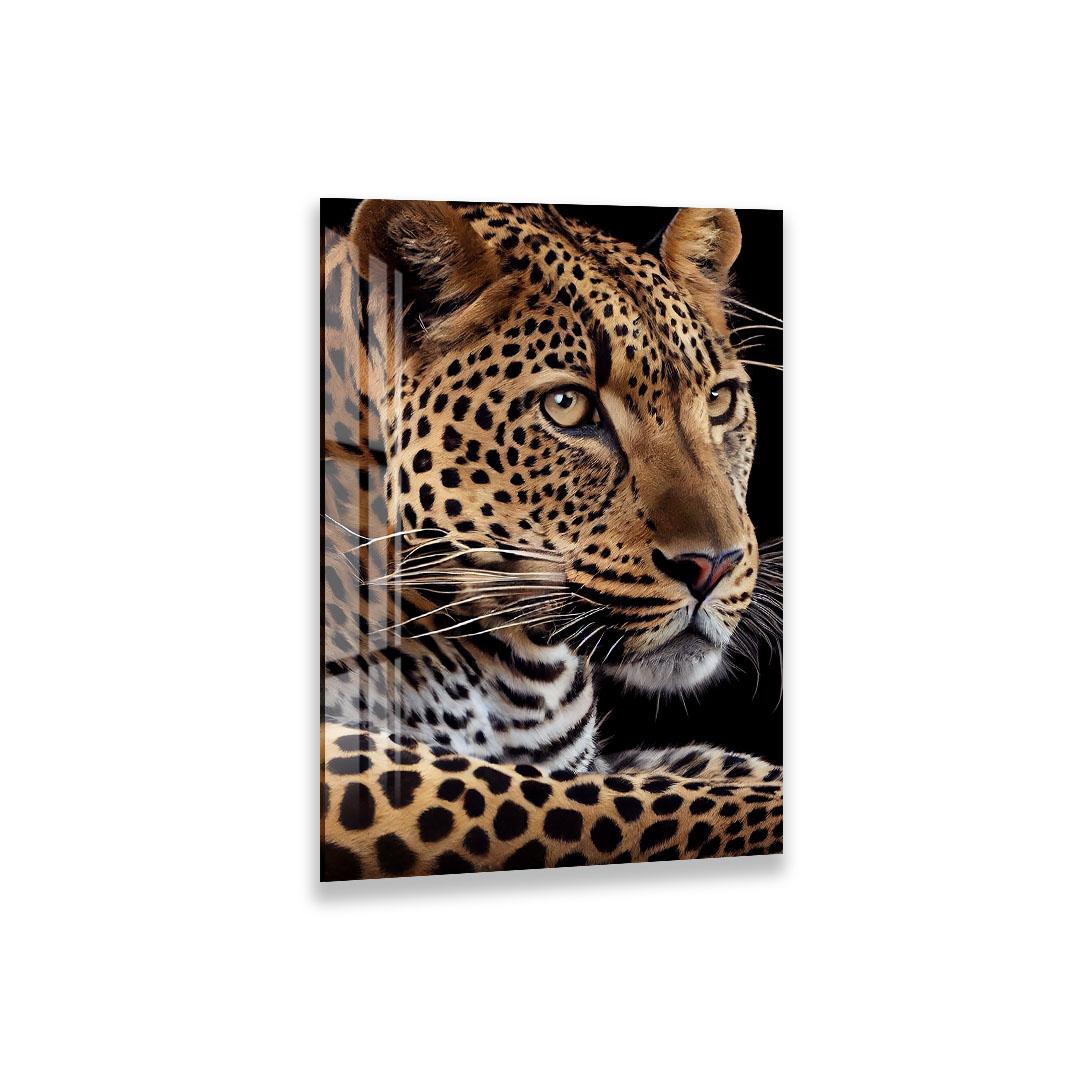 A close-up portrait of a leopard, showcasing its distinctive spotted fur and intense gaze.