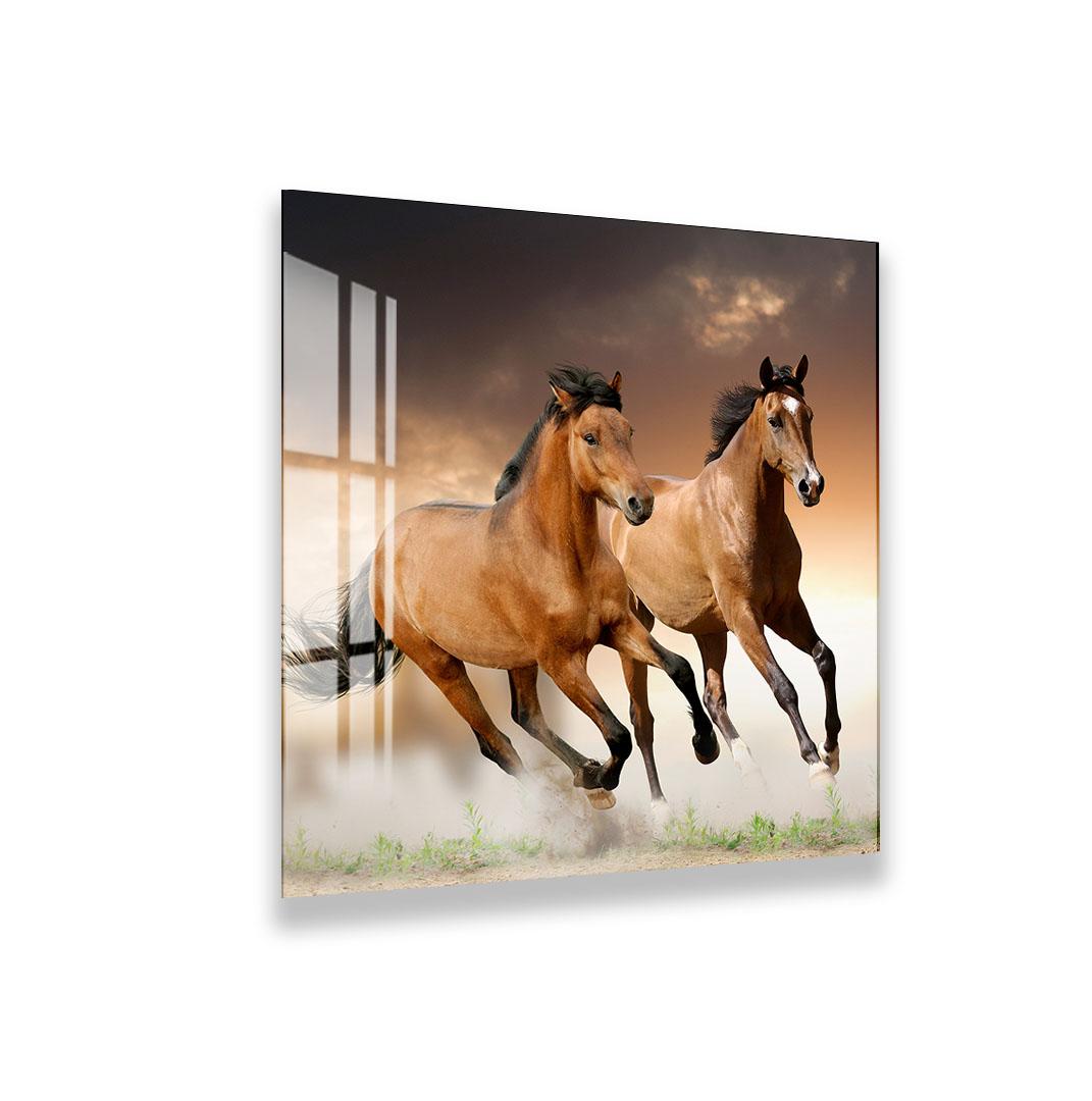 A close-up of two leopards with their heads close together, appearing to be in a relaxed and affectionate manner.