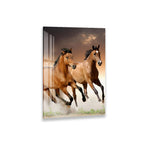 A close-up photograph of two leopards, their eyes and mouths clearly visible, with one appearing to be in a defensive or aggressive stance.