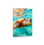 A close-up of an elephant's face, showcasing its large ears and tusks.