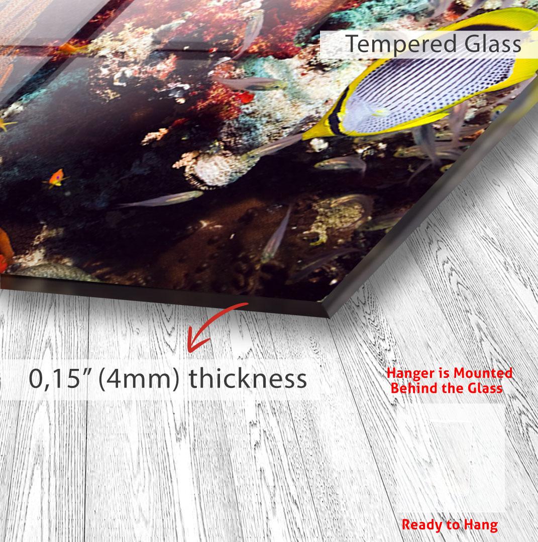 The image is a framed photograph of a fish, specifically a tropical fish, displayed on a wall. The photograph is mounted on a glass surface, and the frame is described as having a thickness of 0.15 millimeters (4mm).