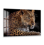 A close-up portrait of a leopard, its distinctive spotted fur and intense gaze captured in a striking black and white image.