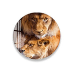 A close-up image of two lions, one standing and one lying down, with their eyes and noses visible.