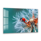 A ladybug is perched on a dandelion, its vibrant red and black body contrasting with the delicate white dandelion petals.