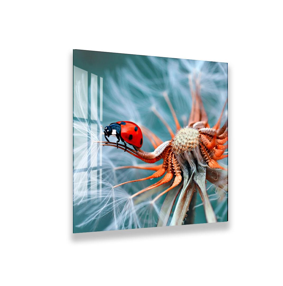 A ladybug is perched on a dandelion, its vibrant red and black body contrasting with the delicate white and green dandelion seed heads.