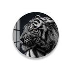 A close-up image of a large, colorful octopus with its tentacles spread out, showcasing its intricate patterns and textures.