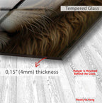 The image is a close-up of a glass surface with a textured brown background, and there is a red arrow pointing to the thickness of the glass, which is 0.15 mm (4 mm) thick.