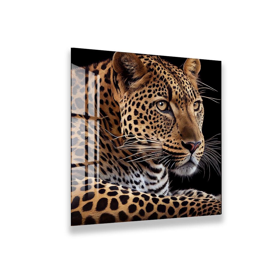 A close-up portrait of a leopard, showcasing its distinctive spotted fur and intense gaze.