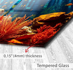 a picture of a fish tank with some plants and rocks