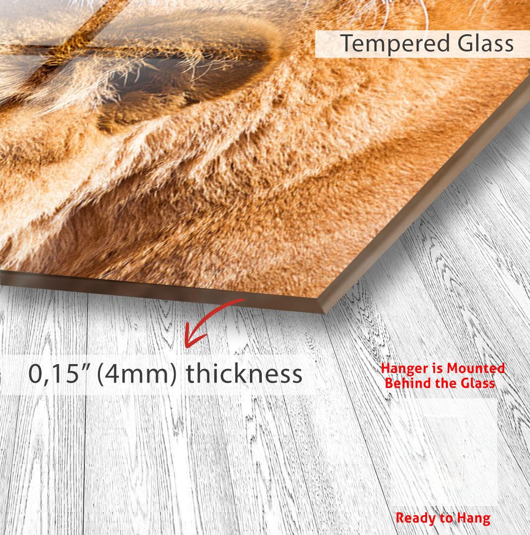 The image is a close-up of a glass surface with a textured brown surface, and there is a red arrow pointing to the thickness of the glass, which is 0.15 mm (4 mm) thick.