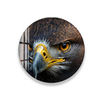 A close-up image of an eagle's face, showcasing its sharp beak and piercing eyes.