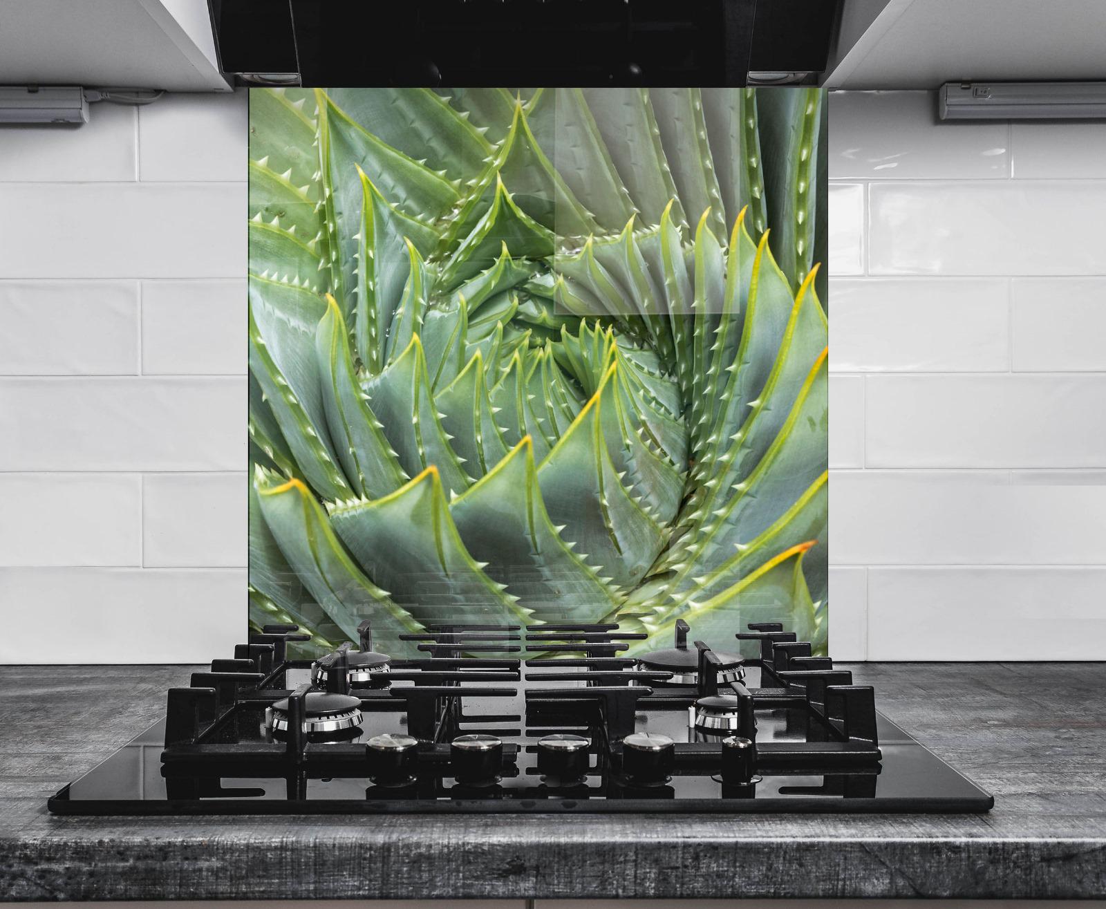 a modern kitchen with a large, vibrant green aloe plant displayed on the wall behind a gas stove.