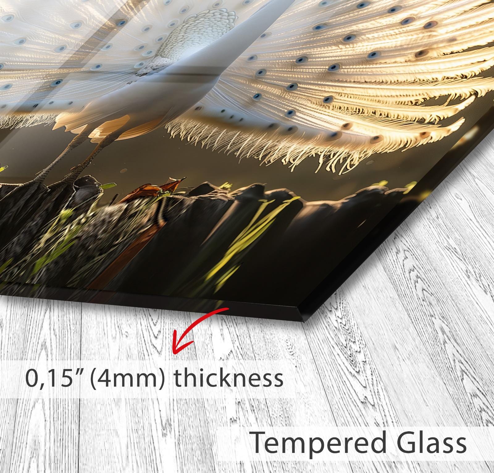 A close-up of a peacock feather, with a text overlay indicating the thickness of the glass as 4mm and the material as Tempered Glass.