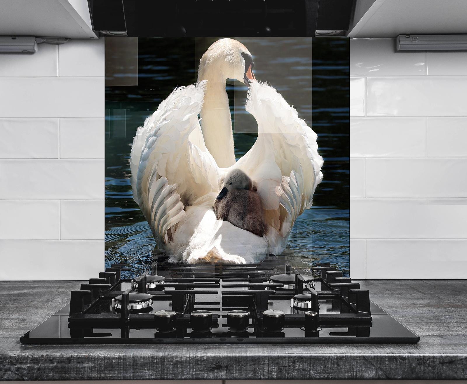 A large white swan with its wings spread wide, standing on a black stovetop in a kitchen setting.