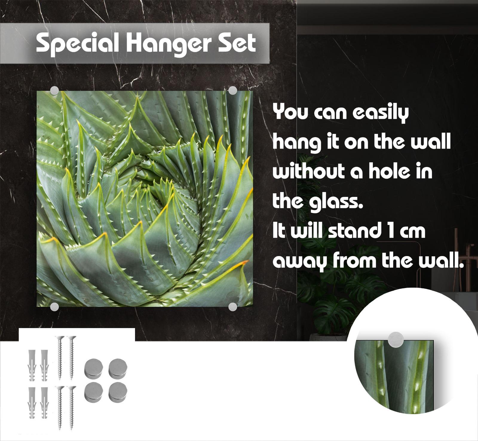 a close-up of a spiral-patterned succulent plant, which appears to be a special hanger set. The succulent is mounted on a wall without a hole in the glass, allowing it to stand 1 cm away from the wall.