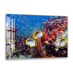 A vibrant underwater scene featuring a school of colorful fish swimming among a coral reef.
