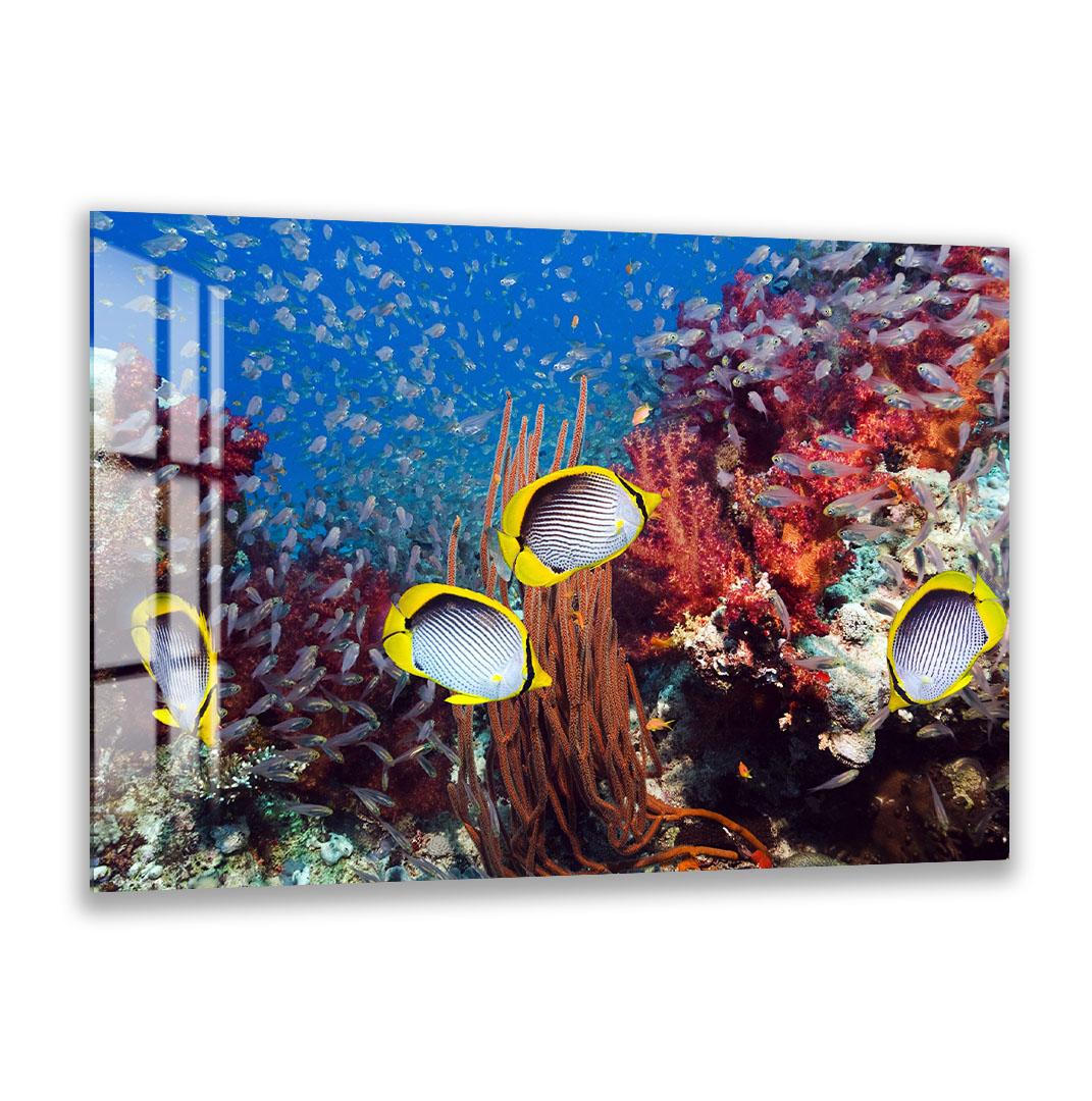 A vibrant underwater scene featuring a school of colorful fish swimming among a coral reef.