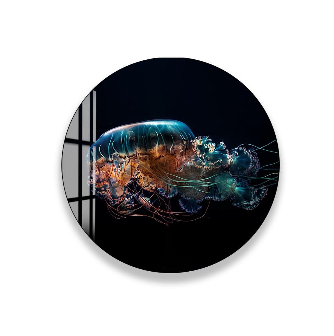 A round, glossy print depicting a jellyfish with a vibrant mix of colors, including shades of blue, orange, and green, floating against a dark background.