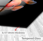The image is a close-up of a fish with a text overlay indicating the thickness of the glass, which is 4mm.
