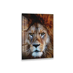 The image is a close-up of a lion's face, showcasing its powerful features and majestic presence.
