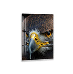 The image is a close-up of a bird of prey, specifically an eagle, with its sharp beak and piercing eyes.