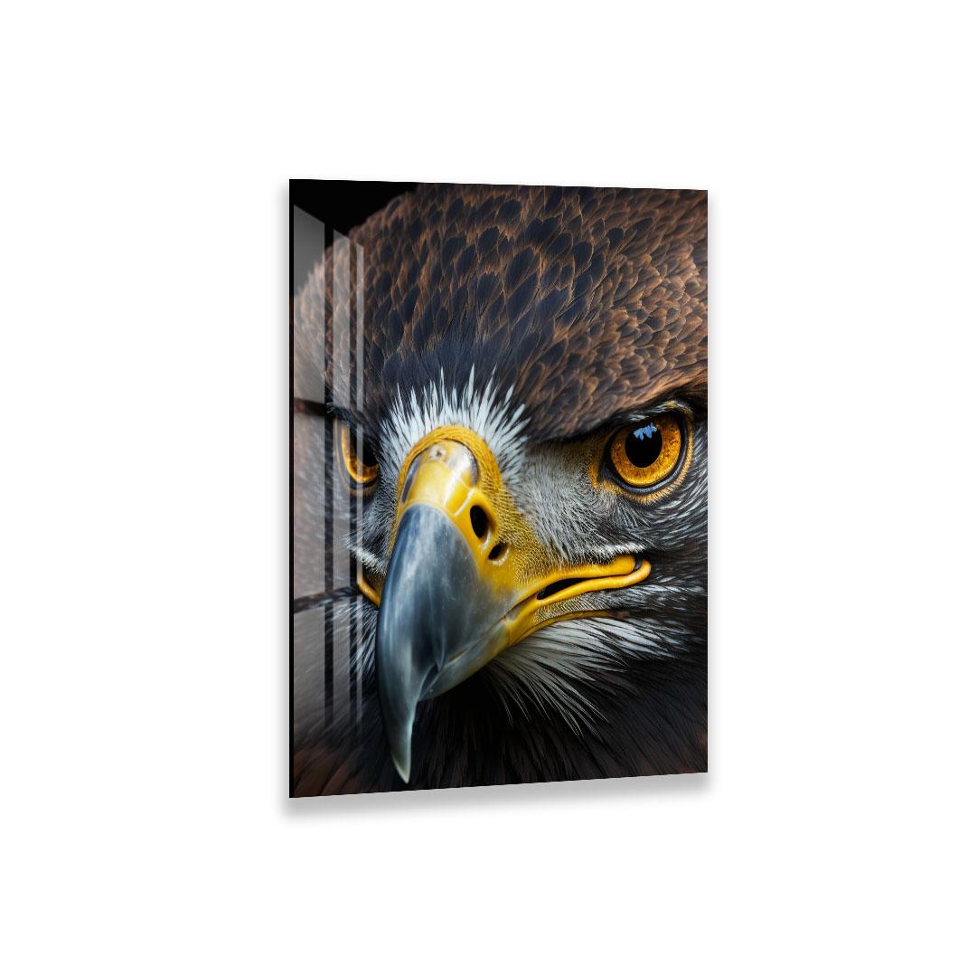 The image is a close-up of a bird of prey, specifically an eagle, with its sharp beak and piercing eyes.