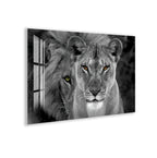 Black and white lion and lioness glass artwork with striking eyes.