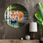 Vibrant animal wall art showcasing the beauty of the tiger in water.