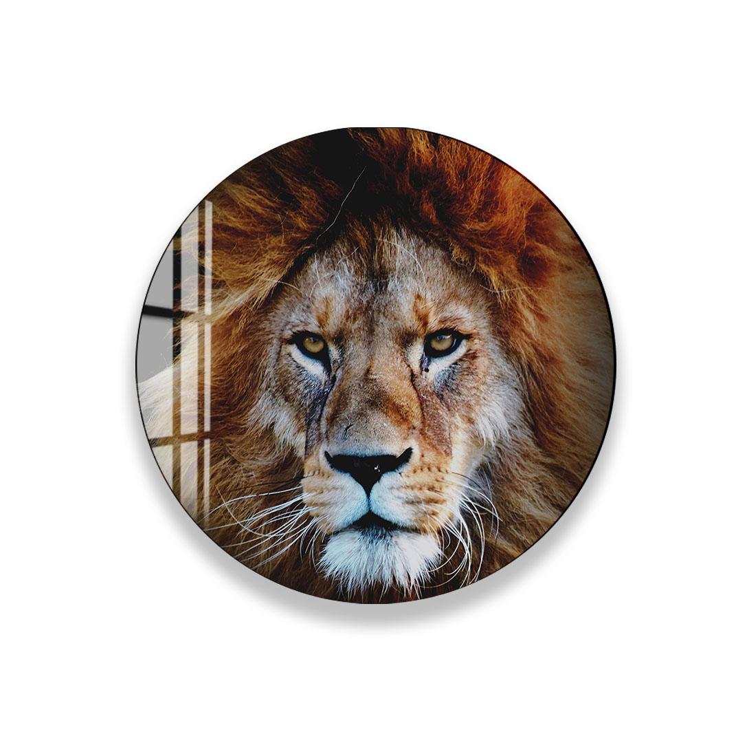 A close-up portrait of a majestic lion, its golden mane and intense gaze capturing the viewer's attention.