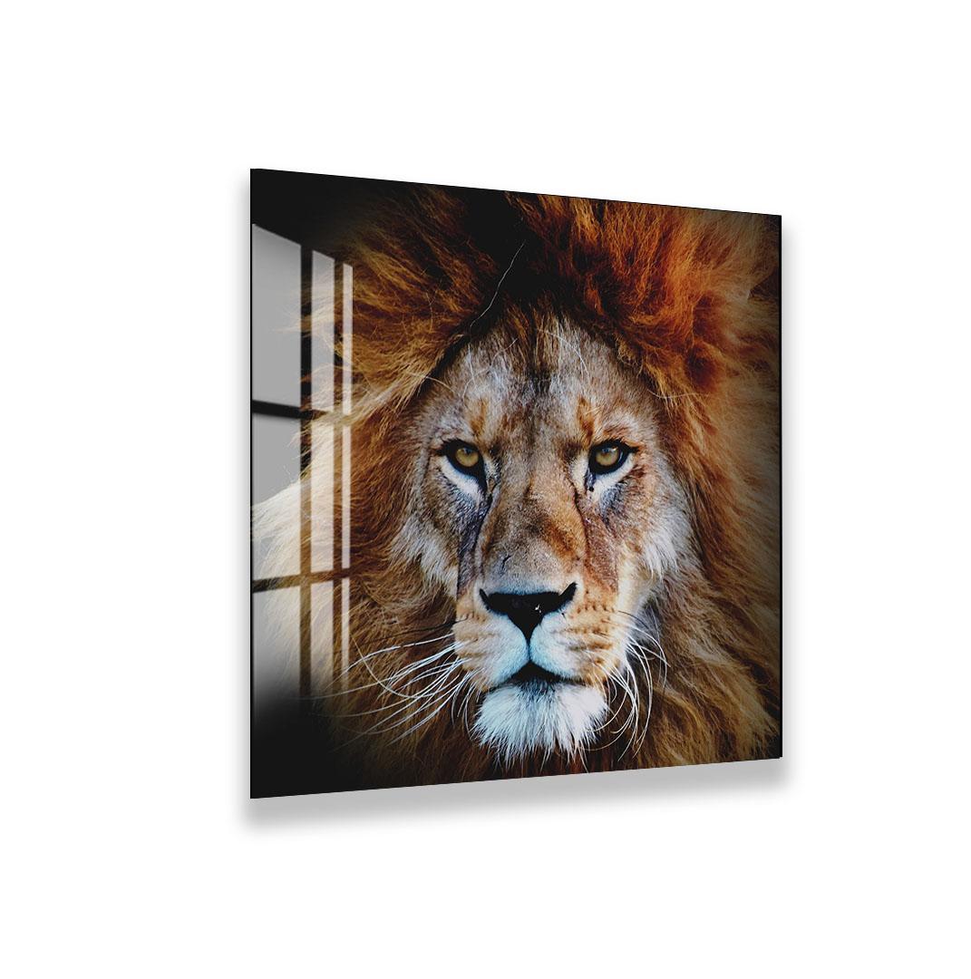 The image is a close-up of a majestic lion's face, showcasing its powerful features and intense gaze.