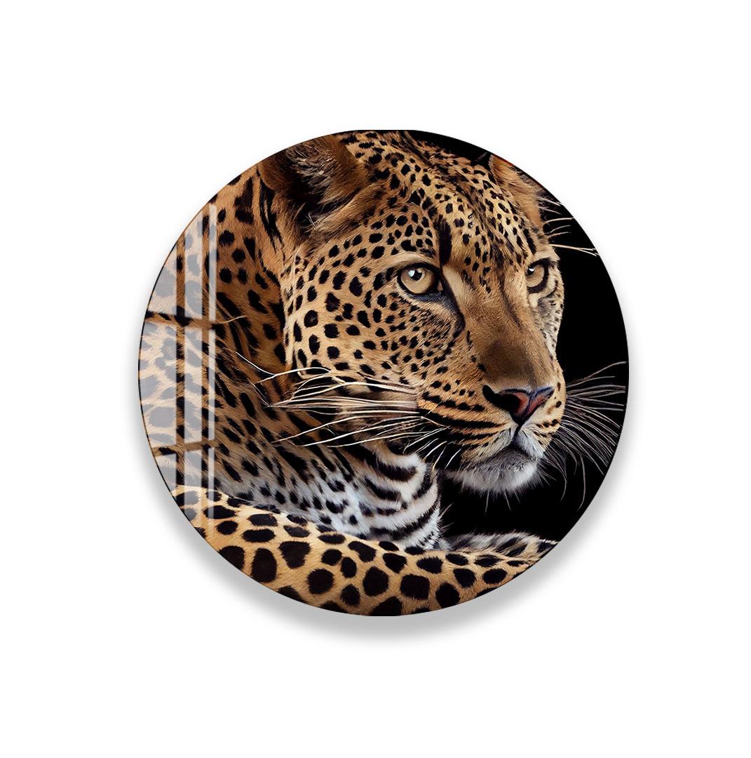 A close-up image of a leopard's face, showcasing its distinctive spotted pattern and intense gaze.