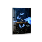 A tiger is drinking from a body of water, its head submerged in the water.