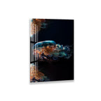 The image is a captivating underwater scene featuring a jellyfish with a vibrant mix of orange, blue, and green colors, creating a mesmerizing and visually striking display.